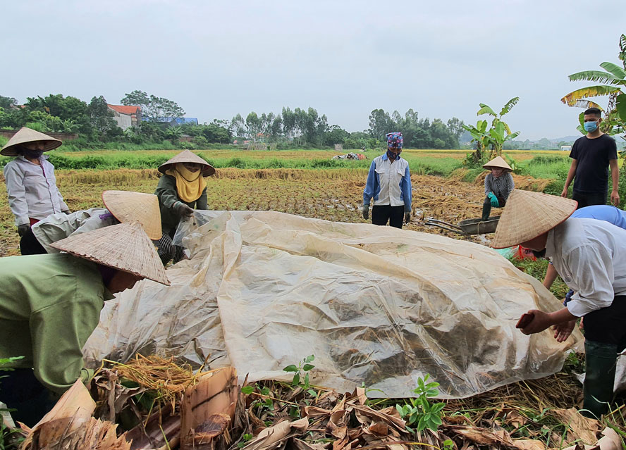 Hà Nội: Phụ nữ trong bảo vệ môi trường, ứng phó với biến đổi khí hậu