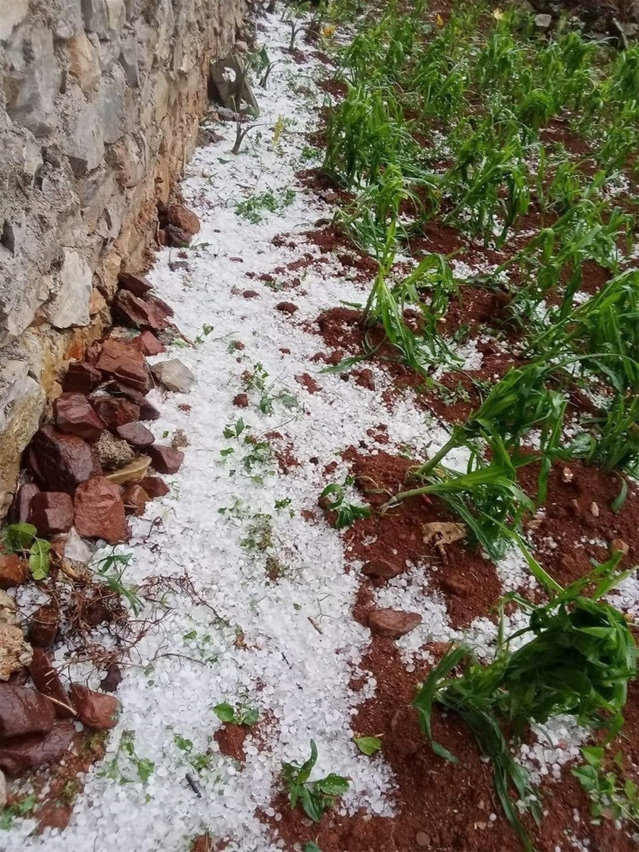 Mưa đá lớn nhất trong 5 năm ở Cao Bằng, mỗi viên đá có đường kính 2-2,5cm