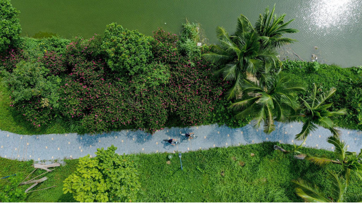 Đô thị Net Zero - Hãy bắt đầu từ không gian xanh