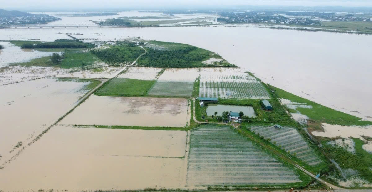 Nghệ An kiệt quệ do bão lũ, người dân đối mặt với vô vàn khó khăn