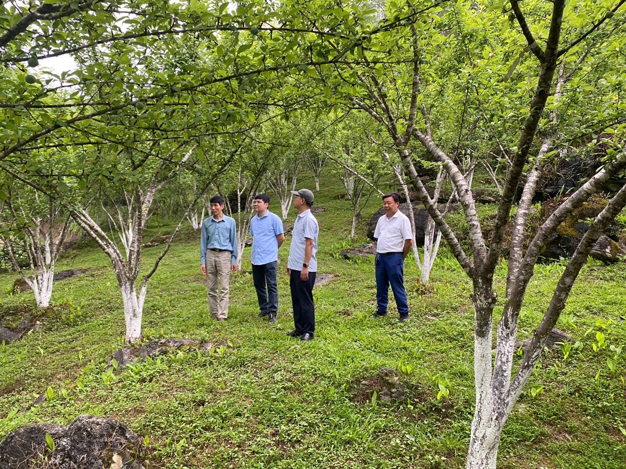 Phát triển du lịch nông nghiệp sinh thái tại xã vùng cao  Tả Van Chư
