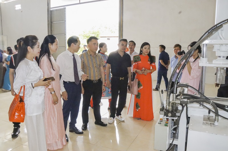 Dragon Tea Suối Giàng ra mắt, tiên phong nâng tầm trà Shan Tuyết Việt
