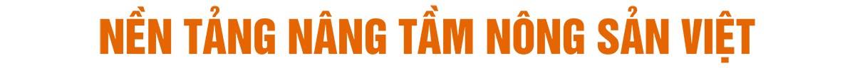 Nền tảng cho tương lai bền vững