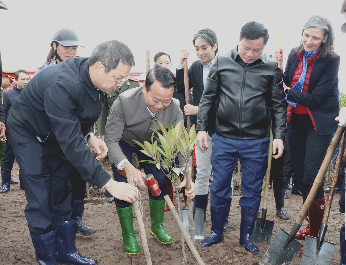 Bộ TN&MT phát động “Tết trồng cây đời đời nhớ ơn Bác Hồ” tại Thái Bình