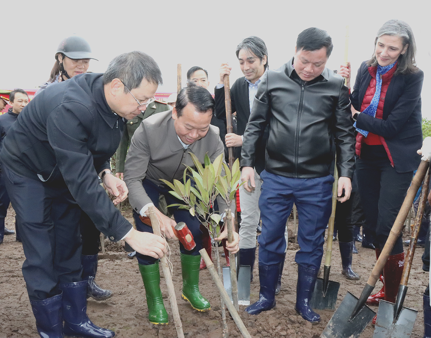 Bộ TN&MT phát động “Tết trồng cây đời đời nhớ ơn Bác Hồ” tại Thái Bình