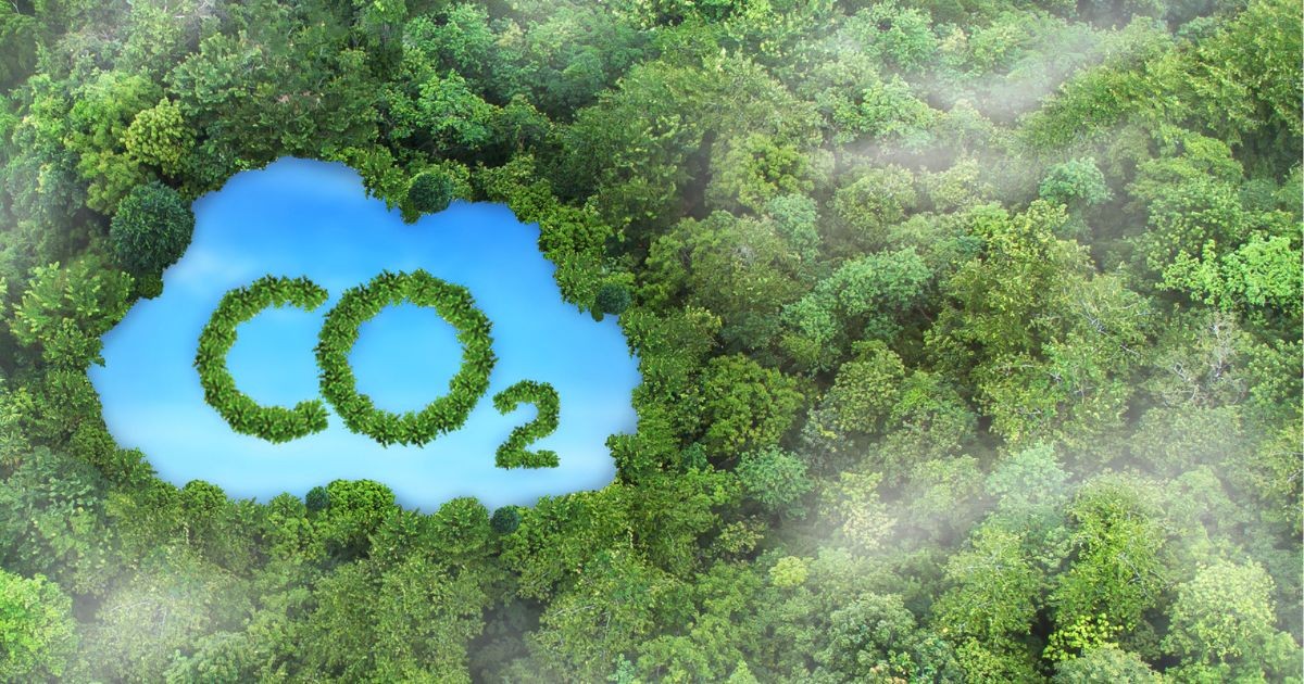 Quảng Trị: Chi trả tín chỉ Carbon đã góp phần quan trọng trong việc tăng cường hiệu quả quản lý và bảo vệ rừng