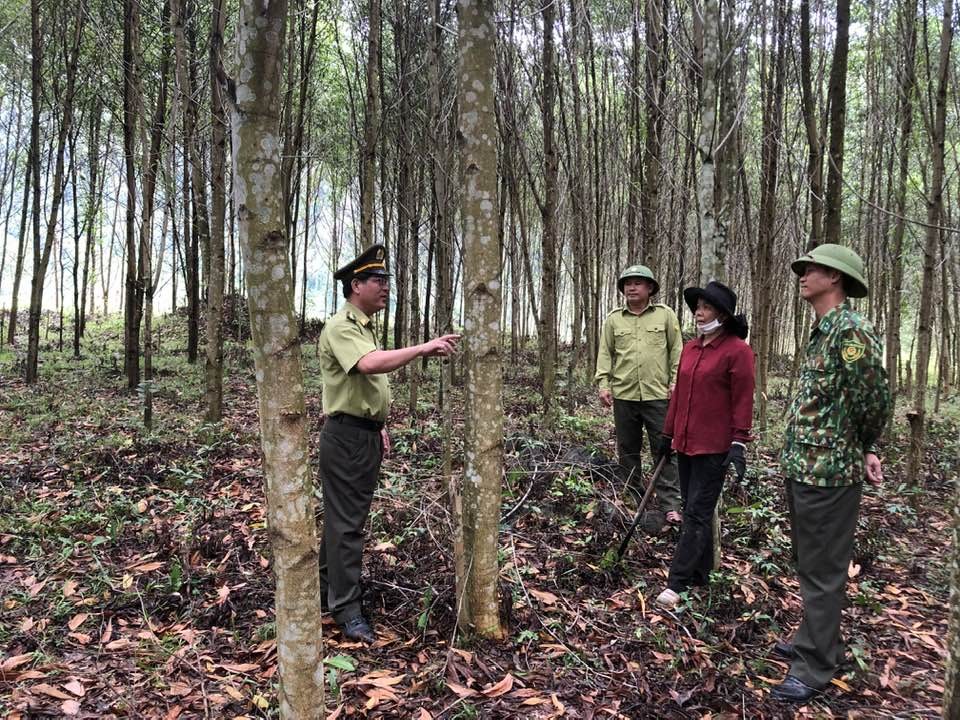 Quảng Trị: Chi trả tín chỉ Carbon đã góp phần quan trọng trong việc tăng cường hiệu quả quản lý và bảo vệ rừng