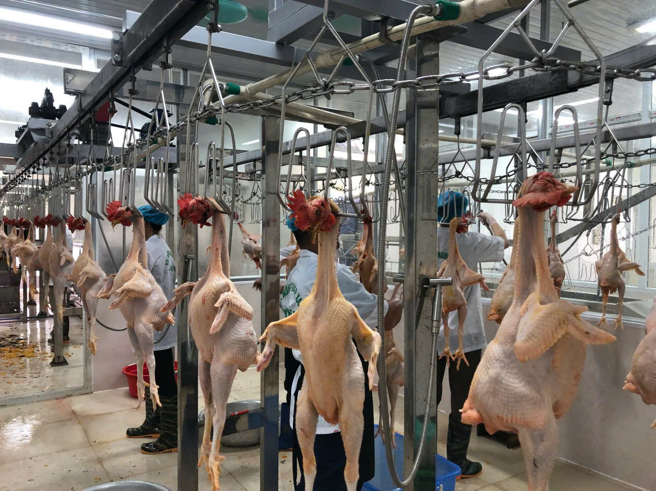 Xu hướng phát triển công nghiệp bảo quản, chế biến nông lâm thủy sản trong bối cảnh cuộc cách mạng công nghiệp 4.0