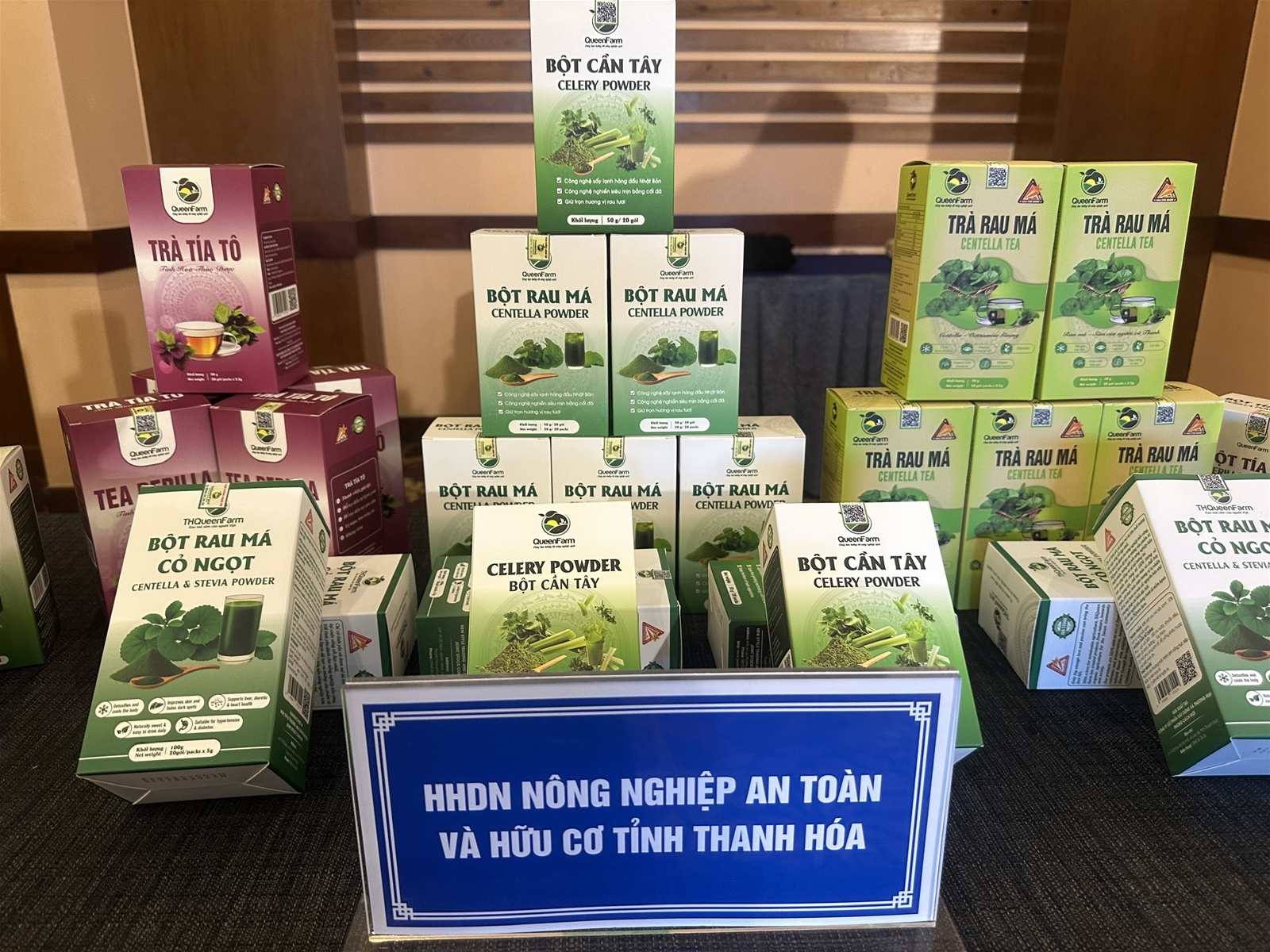 Thanh Hóa - Quảng Trị kết nối giao thương: Mở rộng cơ hội, tăng cường liên kết vùng