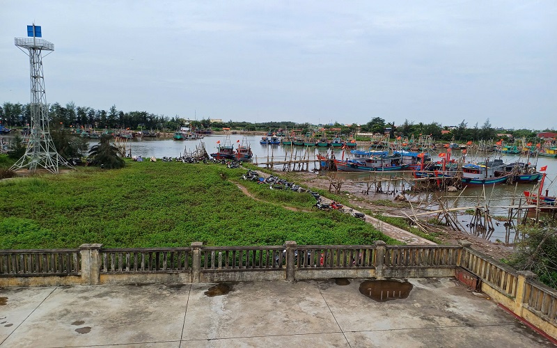 Cảng cá Ninh Bình: Đảm bảo đáp ứng yêu cầu dịch vụ hậu cần nghề cá
