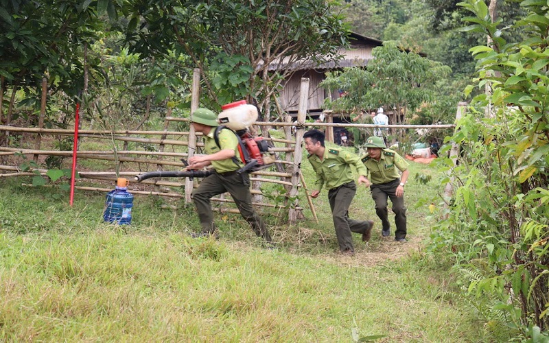 Điện Biên: Tăng cường công tác quản lý bảo vệ rừng và phòng cháy chữa cháy rừng