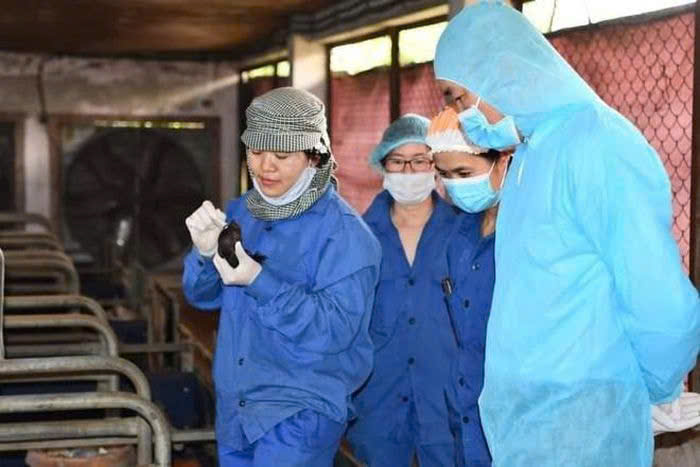 Công đoàn Viện Chăn nuôi: Thi đua yêu nước - Động lực cho sáng tạo khoa học và phát triển bền vững