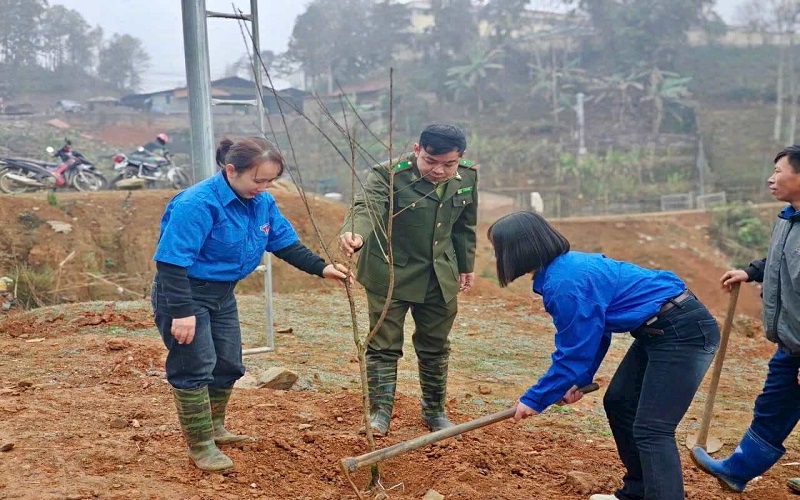 Kiểm lâm Bát Xát giữ vững lá chắn xanh nơi cửa ngõ biên giới