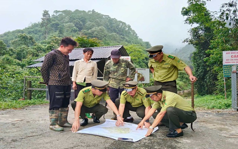 Kiểm lâm Hạ Hòa: Nhiều kết quả tích cực trong quản lý và bảo vệ rừng