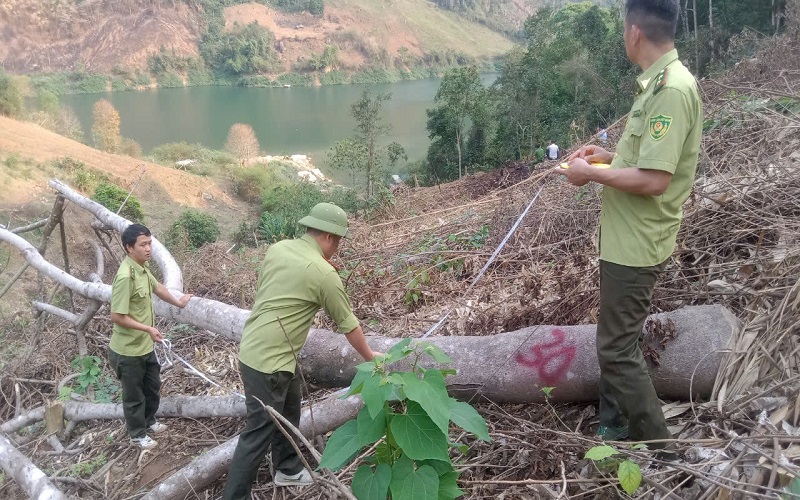 Điện Biên: Tăng cường công tác quản lý bảo vệ rừng và phòng cháy chữa cháy rừng