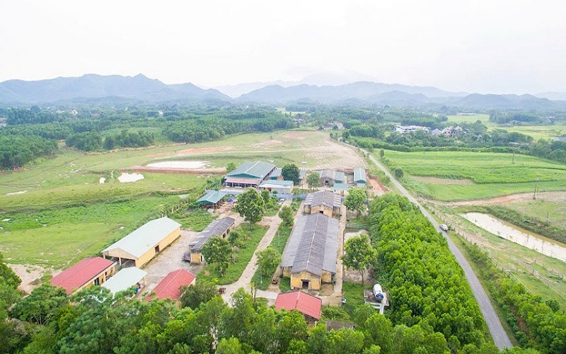65 năm phát triển Trung tâm Nghiên cứu và Phát triển Chăn nuôi Miền núi