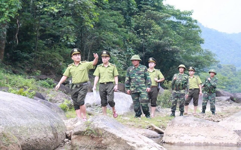 Hà Tĩnh: Tích cực nâng cao công tác quản lý bảo vệ và phát triển rừng