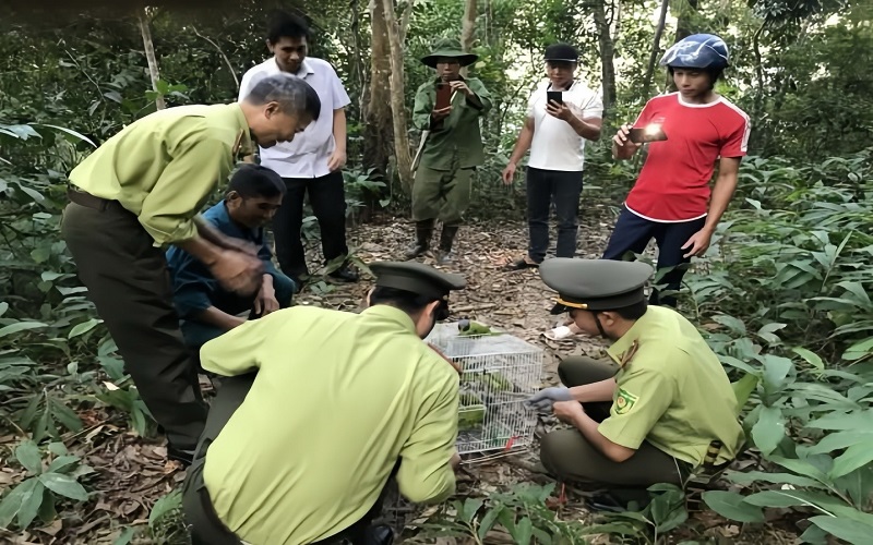 Kiểm lâm Nậm Nhùn: Giữ màu xanh cho rừng cực Tây của Tổ quốc