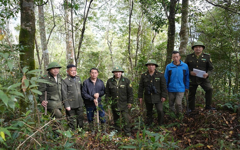 Kiểm lâm Sa Pa - Quản lý và phát triển rừng gắn với sinh kế người dân