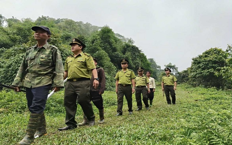 Kiểm lâm Hạ Hòa: Nhiều kết quả tích cực trong quản lý và bảo vệ rừng