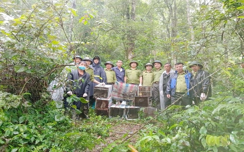 Giữ rừng và bảo tồn đa dạng sinh học - nền tảng phát triển bền vững. Bài 1: Phát triển rừng và bảo tồn đa dạng sinh học ở Vườn Quốc gia Hoàng Liên