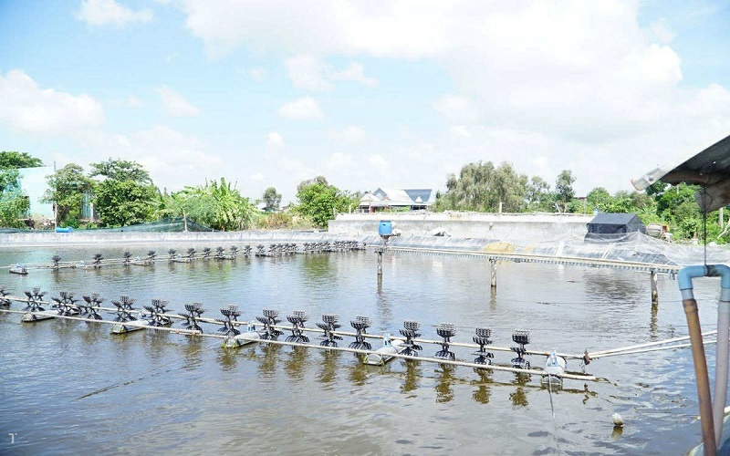Ninh Bình chú trọng phát triển kinh tế biển bền vững gắn với ứng phó biến đổi khí hậu