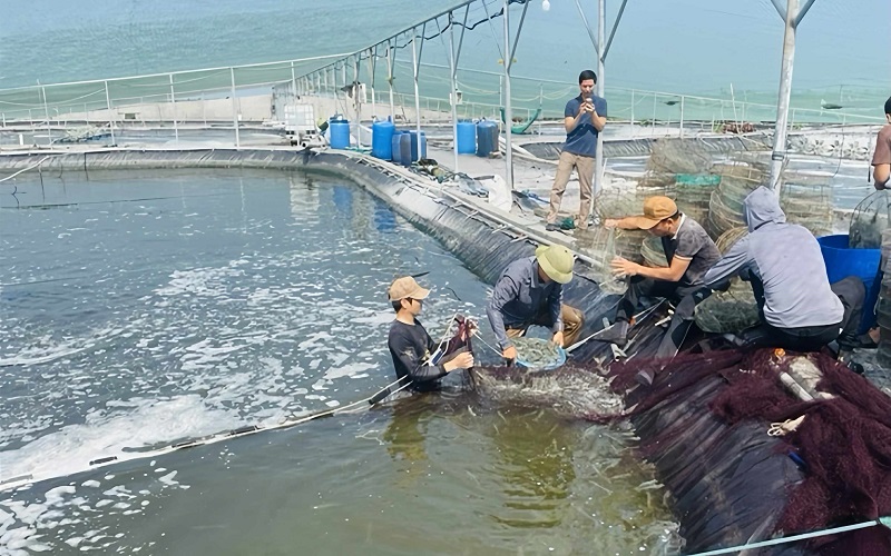Ninh Bình chú trọng phát triển kinh tế biển bền vững gắn với ứng phó biến đổi khí hậu