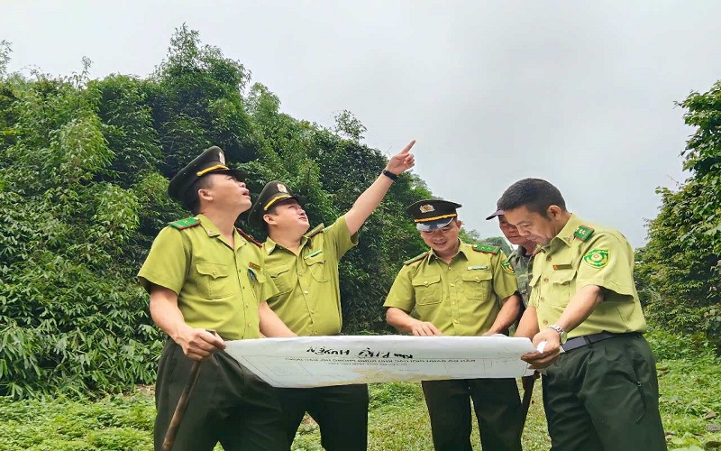 Kiểm lâm Hạ Hòa: Nhiều kết quả tích cực trong quản lý và bảo vệ rừng