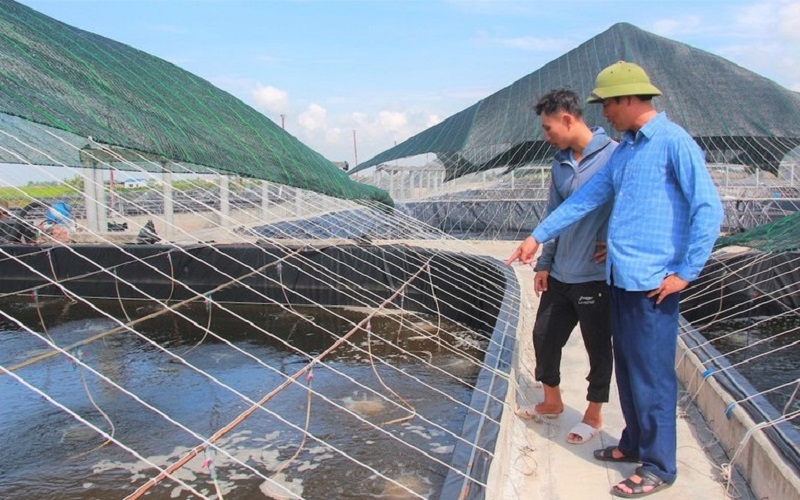 Thủy sản Ninh Bình hướng tới phát triển bền vững