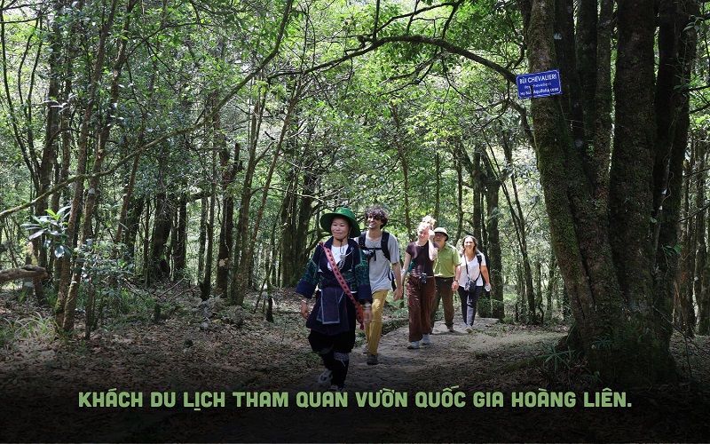 Giữ rừng và bảo tồn đa dạng sinh học - nền tảng phát triển bền vững. Bài 1: Phát triển rừng và bảo tồn đa dạng sinh học ở Vườn Quốc gia Hoàng Liên