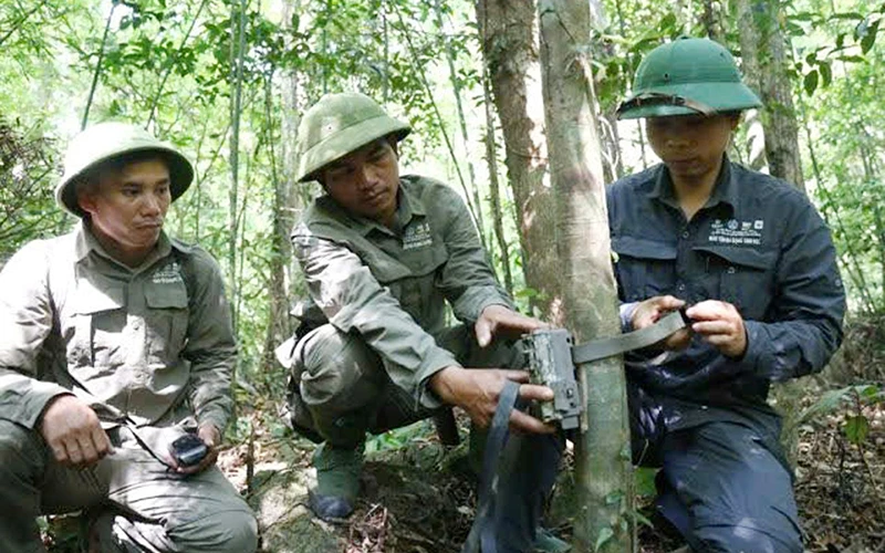 Bảo tồn động vật hoang dã nguy cơ tuyệt chủng