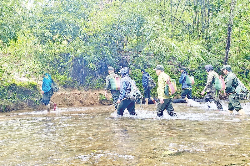 Bảo vệ động, thực vật hoang dã
