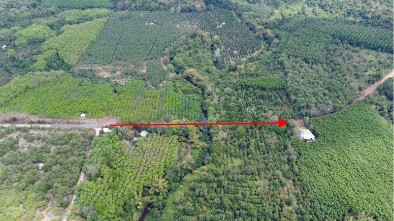 Nghiên cứu, rà soát kỹ phương án đầu tư đường kết nối Bình Phước - Đồng Nai qua cầu Mã Đà