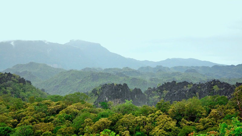 Gỡ khó trong thực thi chính sách bảo vệ rừng