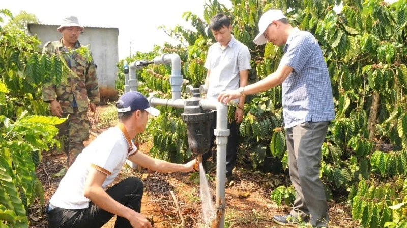 Cải tiến kỹ thuật canh tác, tăng năng suất cây trồng