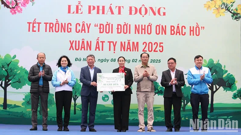 Đà Nẵng trồng 175 cây dừa lớn ven biển