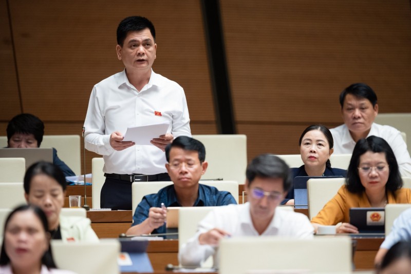Đại biểu Quốc hội đề nghị quy định rõ về phân loại đất