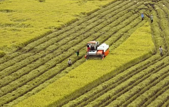 Bảo vệ đất lúa trước thách thức biến đổi khí hậu