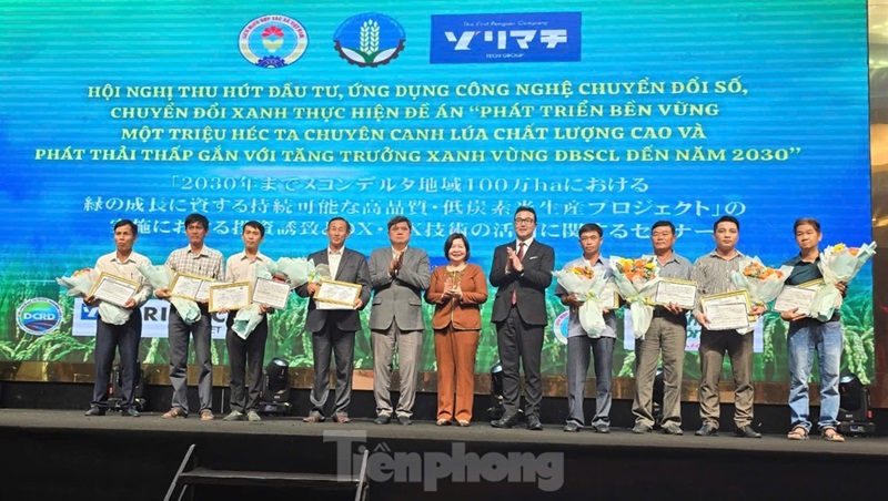 Cần 'nâng cấp' hợp tác xã để đáp ứng Đề án 1 triệu ha lúa chất lượng cao