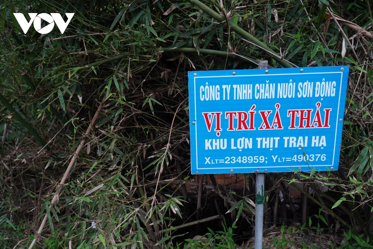 Vi phạm về môi trường, Công ty chăn nuôi Sơn Động bị phạt gần 700 triệu