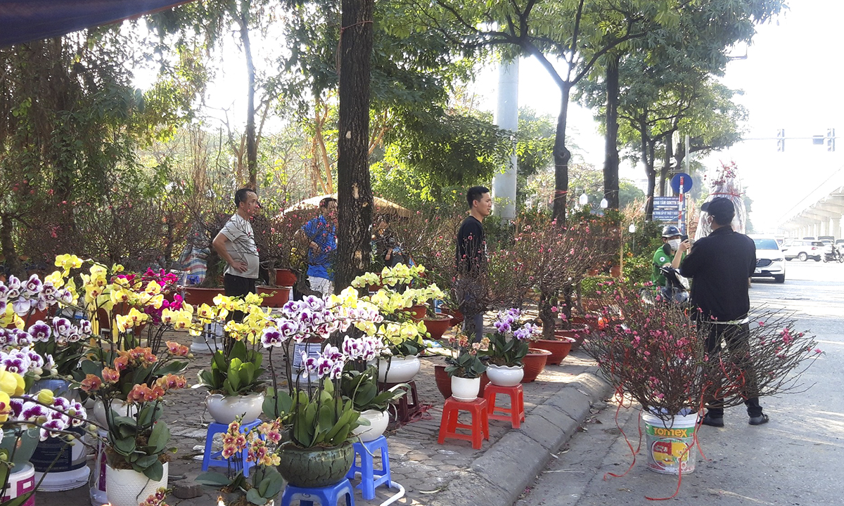 Người dân Hà Nội nô nức sắm đào, quất chuẩn bị Tết Quý Mão 2023
