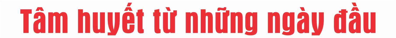 Thứ trưởng Lê Minh Ngân: Hành trình tâm huyết với Luật Đất đai năm 2024