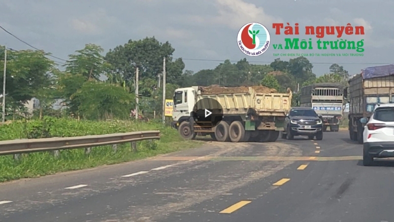 Đắk Nông: Công ty TNHH xuất nhập khẩu nông sản Hoàng Sang, ngang nhiên bạt đồi xây dựng nhà xưởng trái phép