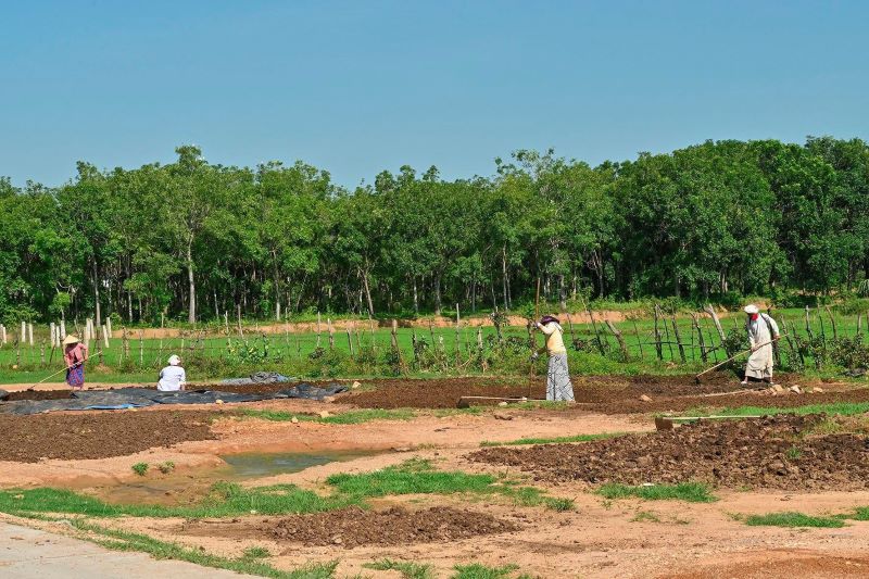 Tiếp tục đồng hành và hỗ trợ đất đai đối với đồng bào dân tộc thiểu số