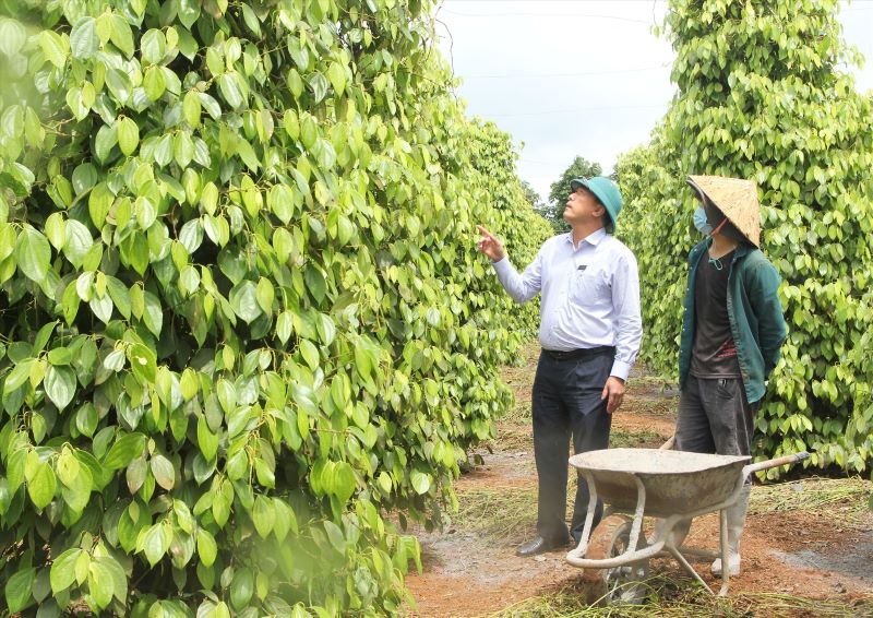 Tiếp tục đồng hành và hỗ trợ đất đai đối với đồng bào dân tộc thiểu số