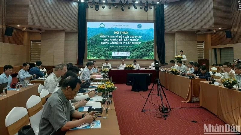 Tháo gỡ vướng mắc trong giao khoán đất lâm nghiệp