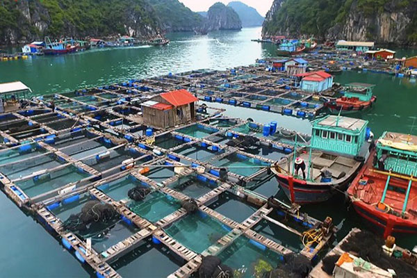 Một số điểm mới trong giao quyền sử dụng biển