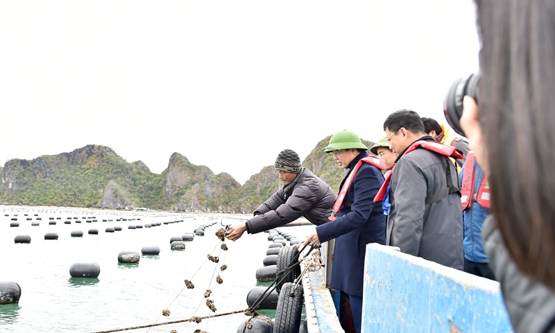 Giải quyết tận gốc nguyên nhân của tình trạng vi phạm IUU để khơi thông ngành kinh tế trọng yếu