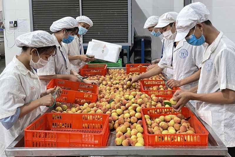 Thứ trưởng Võ Văn Hưng: Doanh nghiệp khoa học dẫn dắt nông nghiệp hiện đại