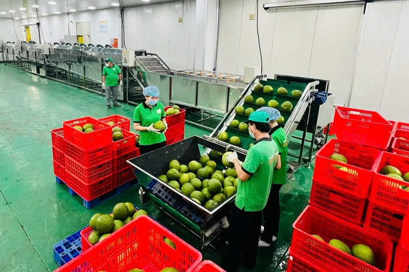 Thứ trưởng Võ Văn Hưng: Doanh nghiệp khoa học dẫn dắt nông nghiệp hiện đại